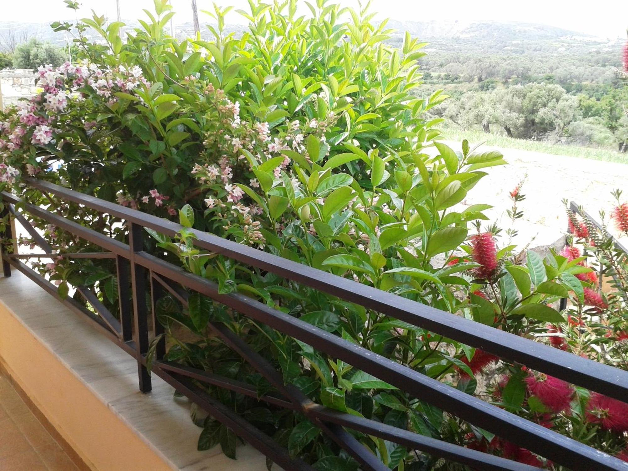 Helidonia Villas Pigí Стая снимка